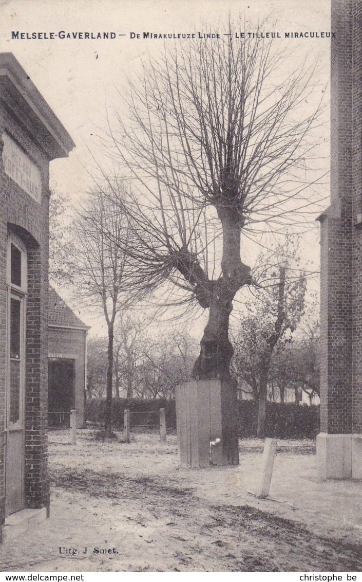 Melsele Gaverland, De Mirakuleuze Linde (pk42847) - Beveren-Waas