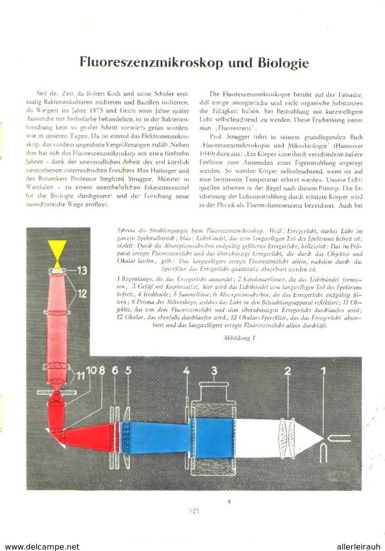 Fluoreszenzmikroskop Und Biologie / Artikel,entnommen Aus Zeitschrift /1950 - Packages