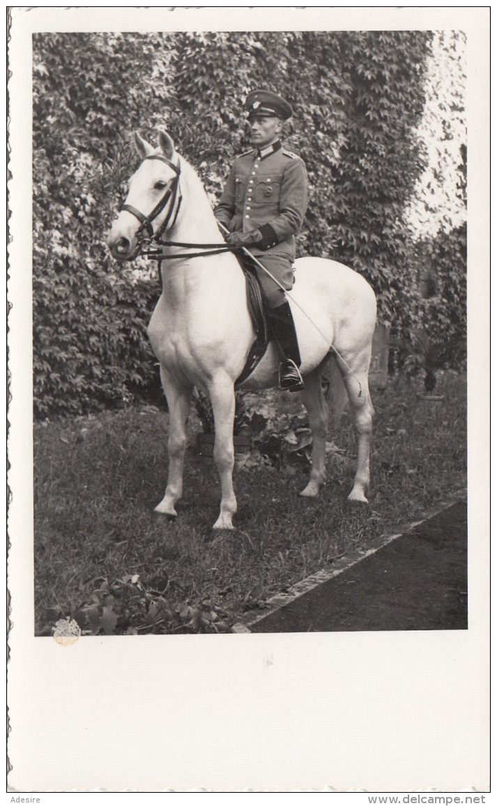 Orig.Fotokarte Um 1940, Offizier Auf Pferd, Format Ca. 13,5 X 8,5 Cm, Gute Erhaltung - 1939-45