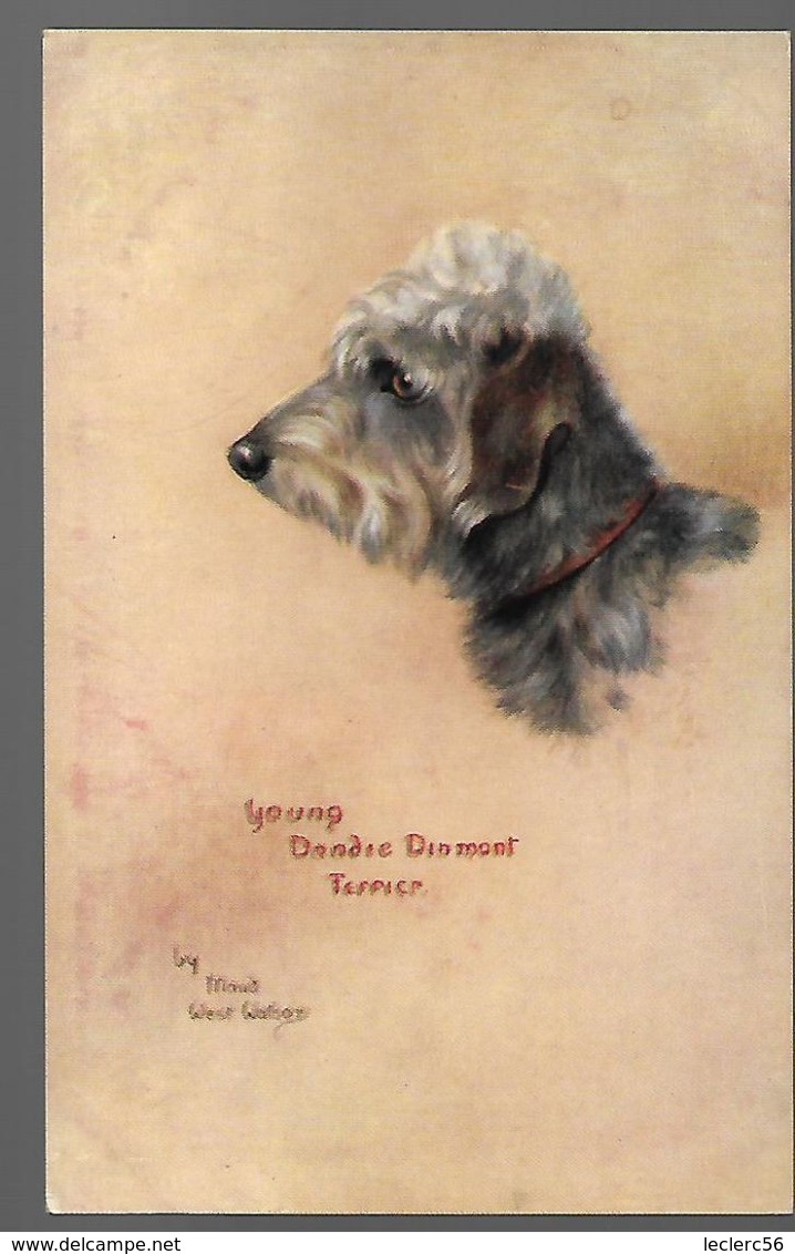 RAPHAEL TUCK MAUD WEST WATSON SKETCHES OF DOGGIES YOUNG DANDIE DINMONT TERRIER CHIEN CPA 2 SCANS - Chiens