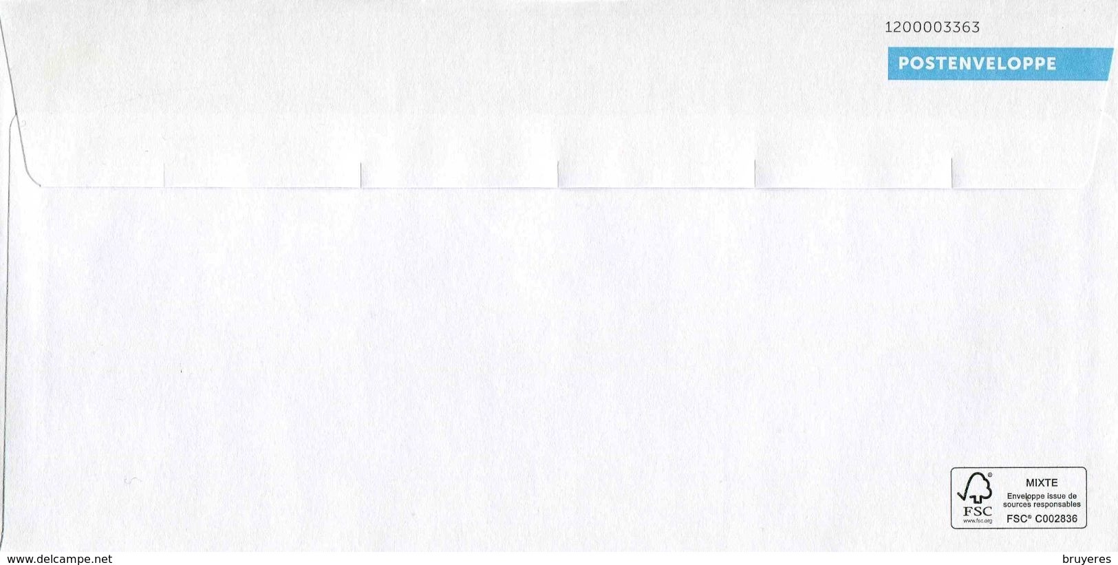 Entier Postal De 2013 Sur Enveloppe "Validité Européenne" Format 114 X 229 Mm - Au Verso N°1200003363 - Stamped Stationery