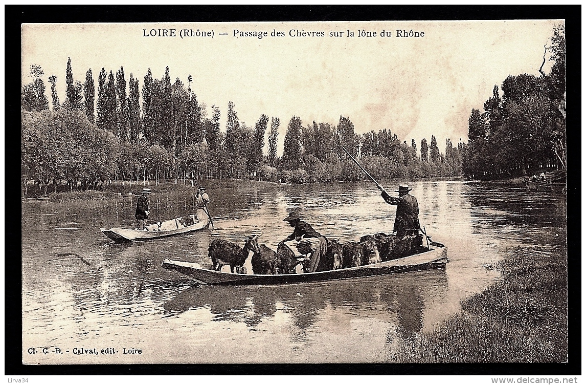 CPA ANCIENNE FRANCE- LOIRE-SUR-RHÔNE (69)- PASSAGE DES CHEVRE EN BAC SUR LA LÔNE- TRES GROS PLAN - Loire Sur Rhone