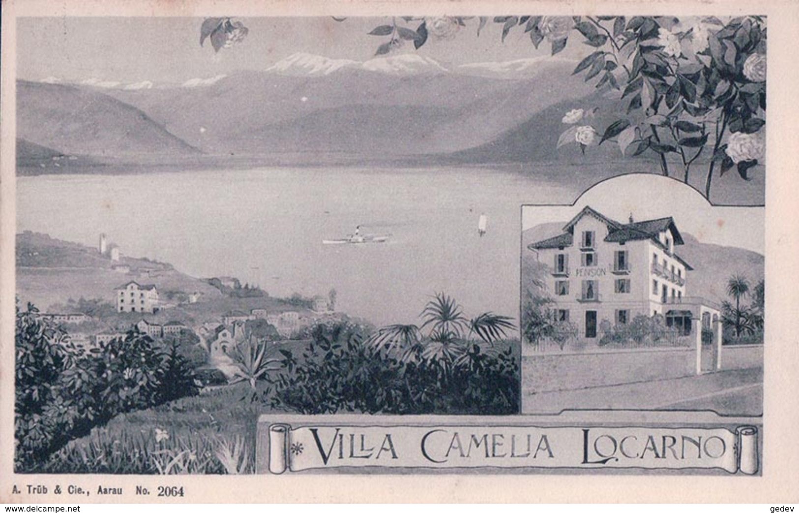 Locarno, Villa Camelia (2064) - Locarno