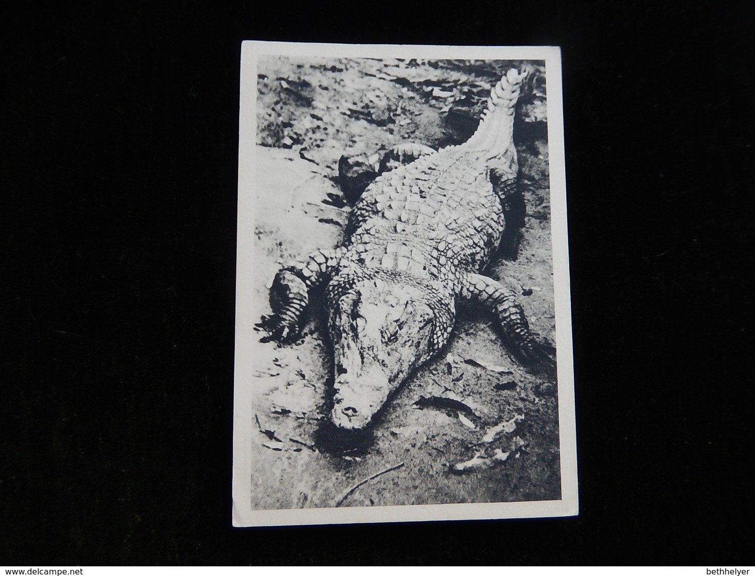 CPSM  - GUYANE - MARINOL PUBLICITE 1948-1949 - CACHET 1948 - CROCODILE - R11625 - Lettres & Documents