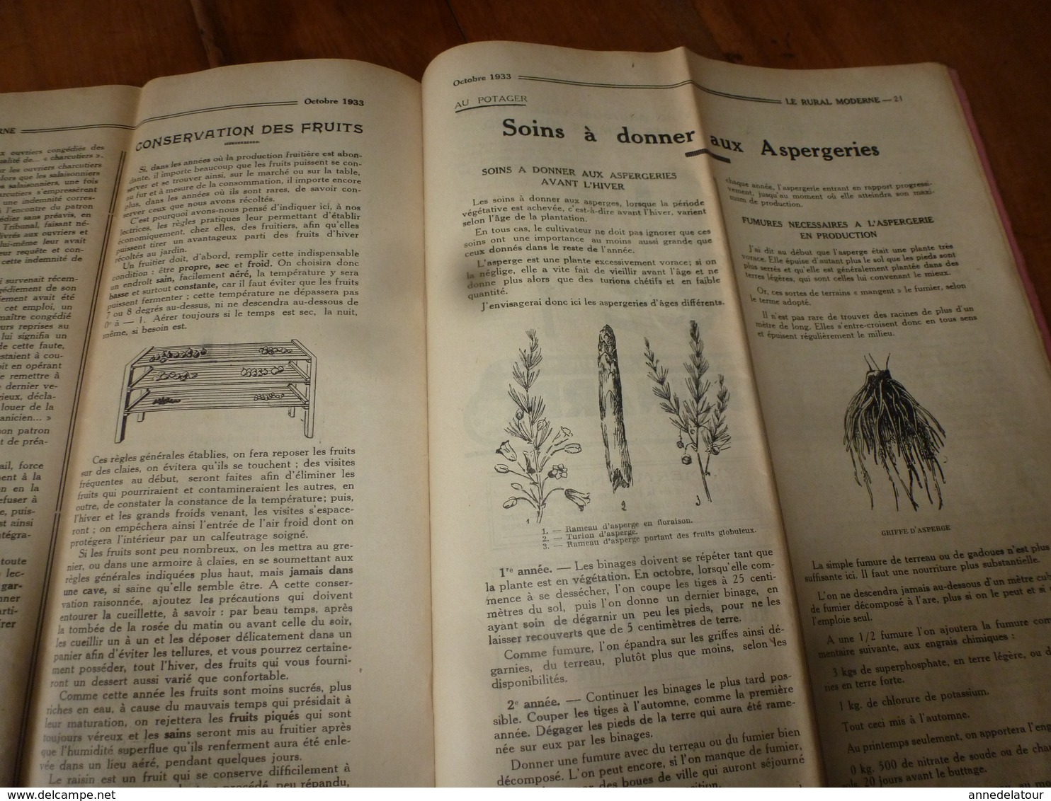 1933  LE RURAL MODERNE :Conserver les fruits; Les asperges; L'eau potable dans les hameaux;Les bons conseils;etc