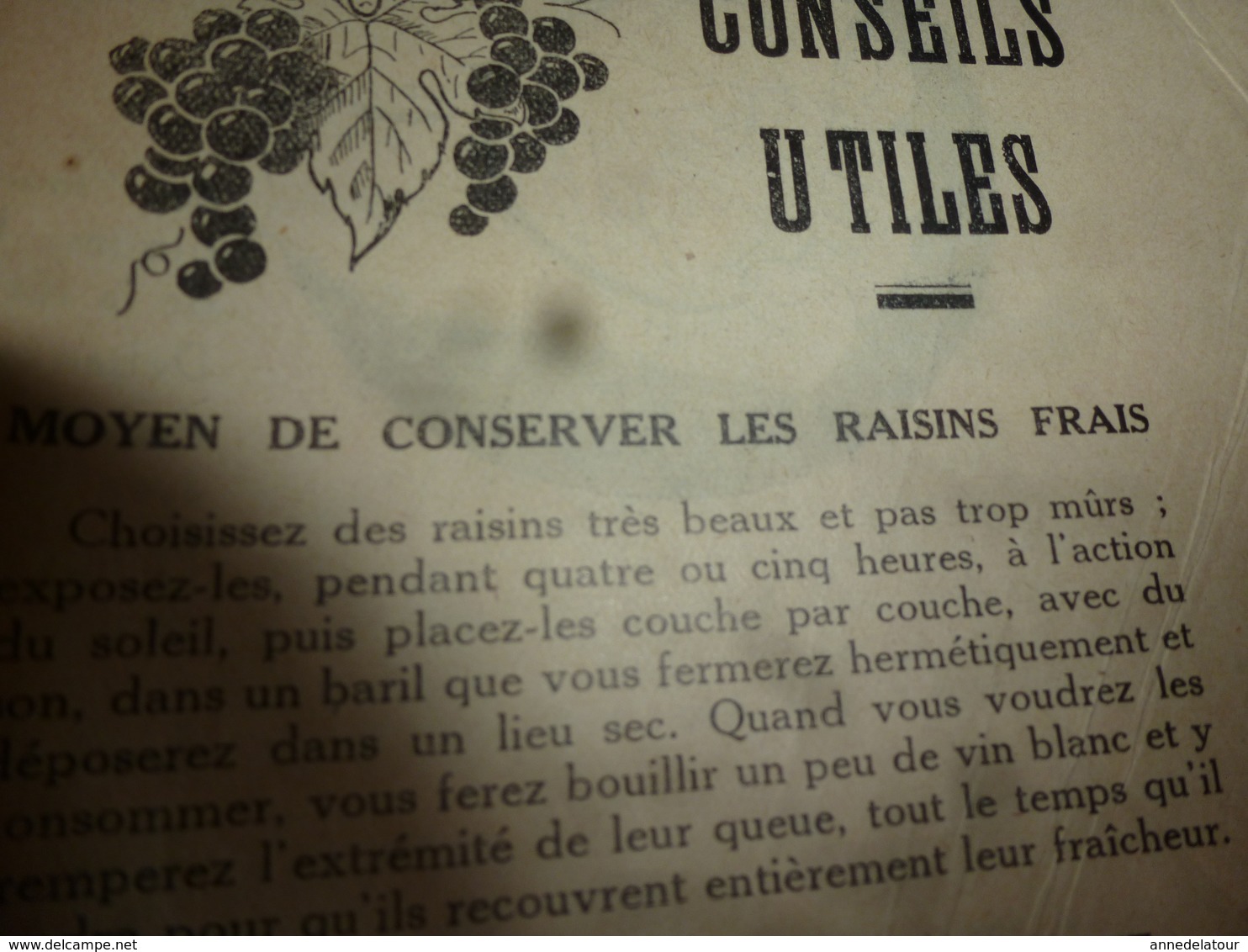 1933  LE RURAL MODERNE :Conserver les fruits; Les asperges; L'eau potable dans les hameaux;Les bons conseils;etc