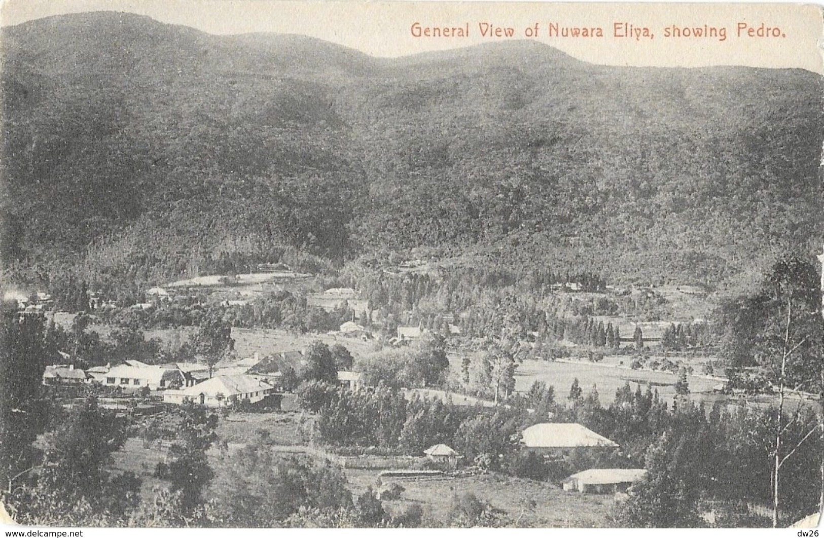 Sri Lanka (Ceylon, Ceylan) - General View Of Nuwara Eliya, Showing Pedro - Edition Plâtré & Co. - Sri Lanka (Ceylon)