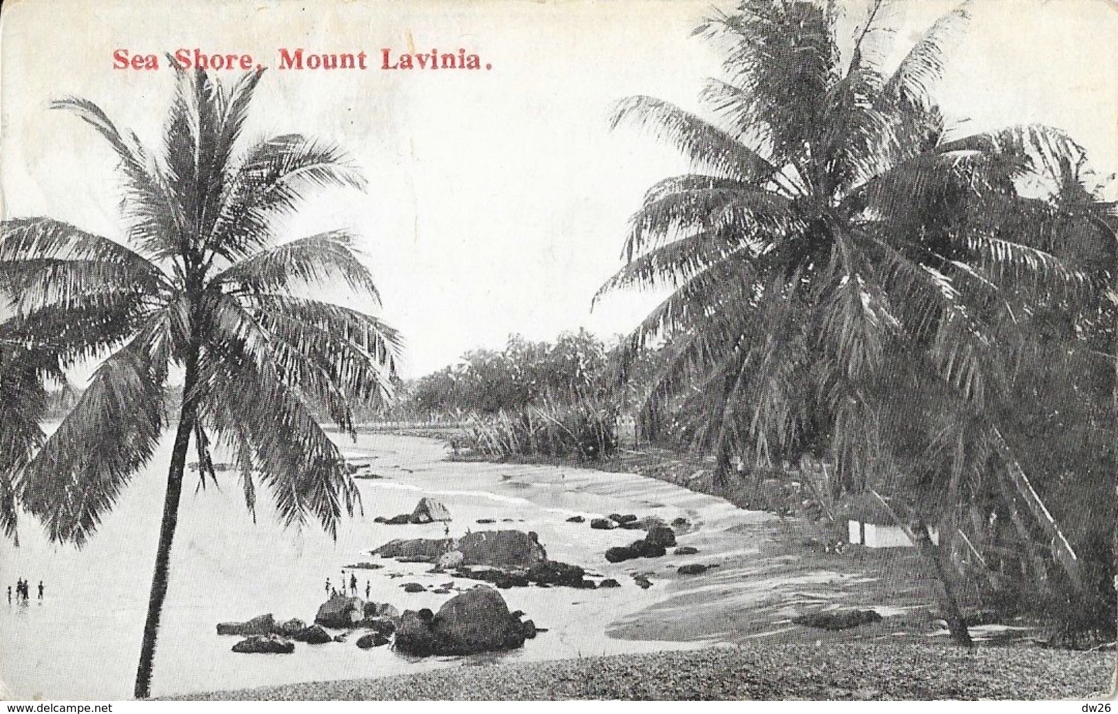 Sri Lanka (Ceylon, Ceylan) - Sea Shore Mount Lavinia, Palms - Copyright By K.S. Ponnambalem - Sri Lanka (Ceylon)