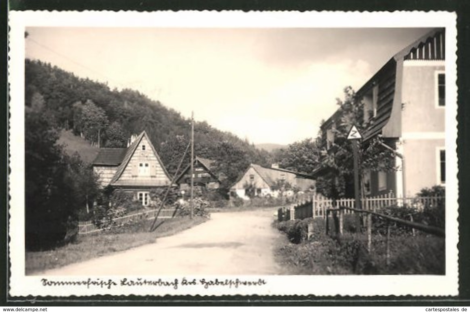 CPA Lauterbach, Vue Générale Avec Vue De La Rue - Schlesien