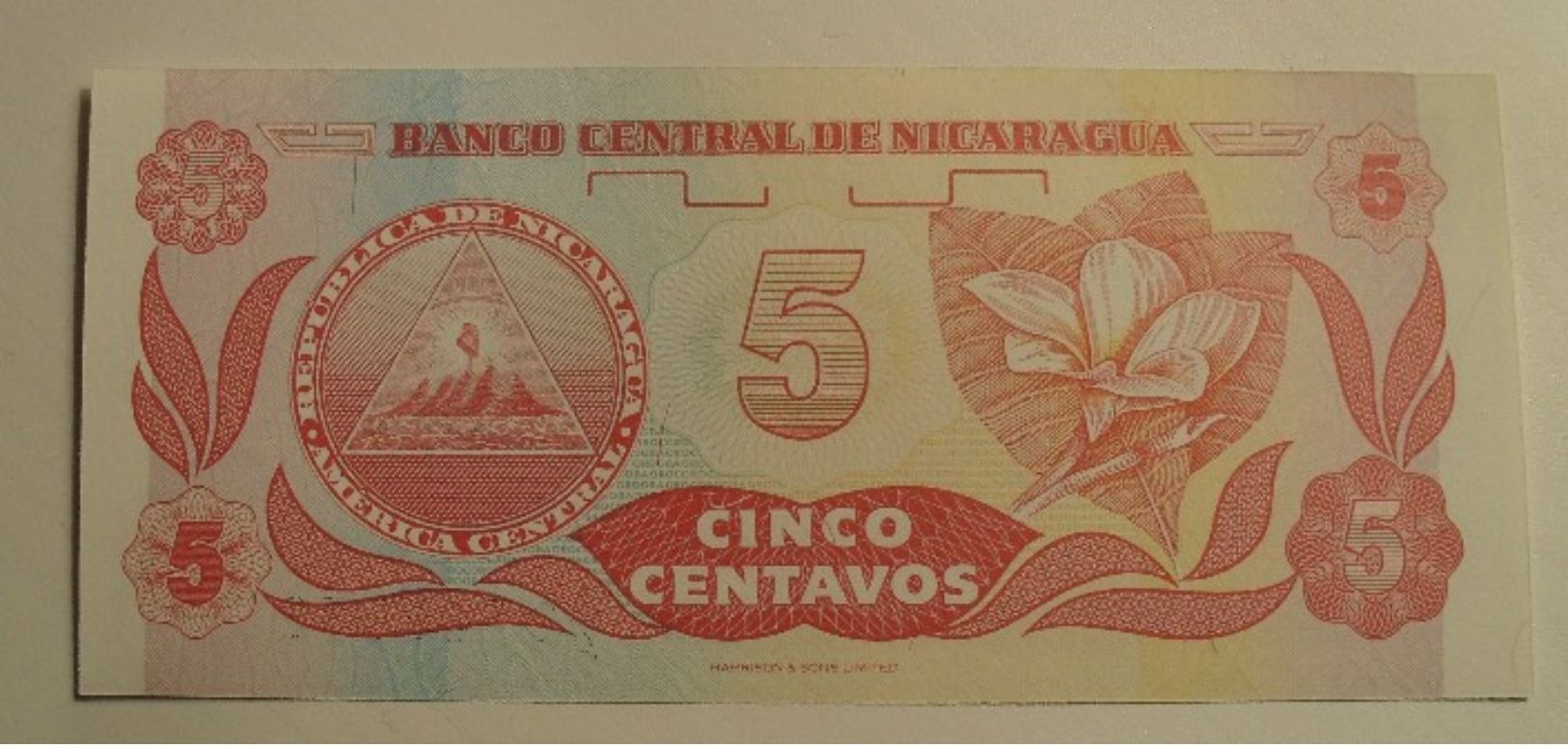 1991 - Nicaragua - 5 CENTAVOS DE CORDOBA, A/A 6745372 - Nicaragua