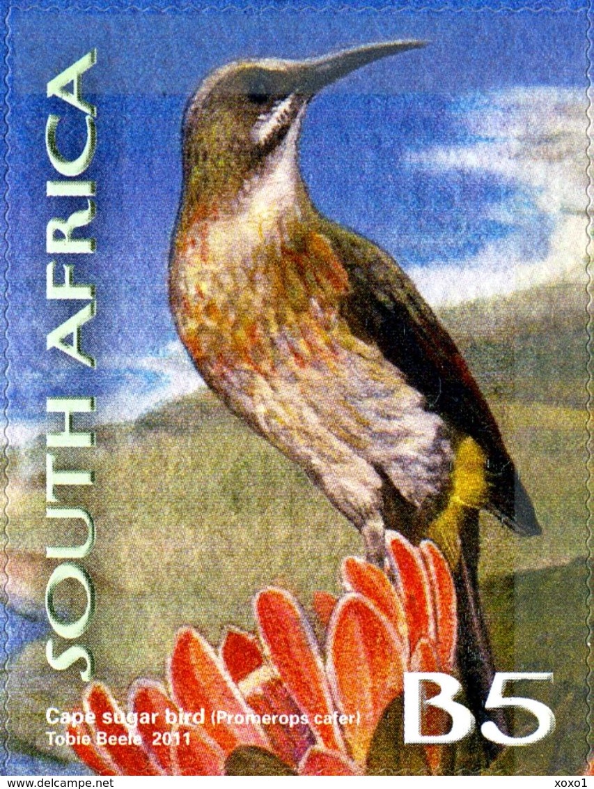 South Africa Südafrika 2011 Cape Protected Region ANIMALS BIRDS FROGS 10 V     MNH**