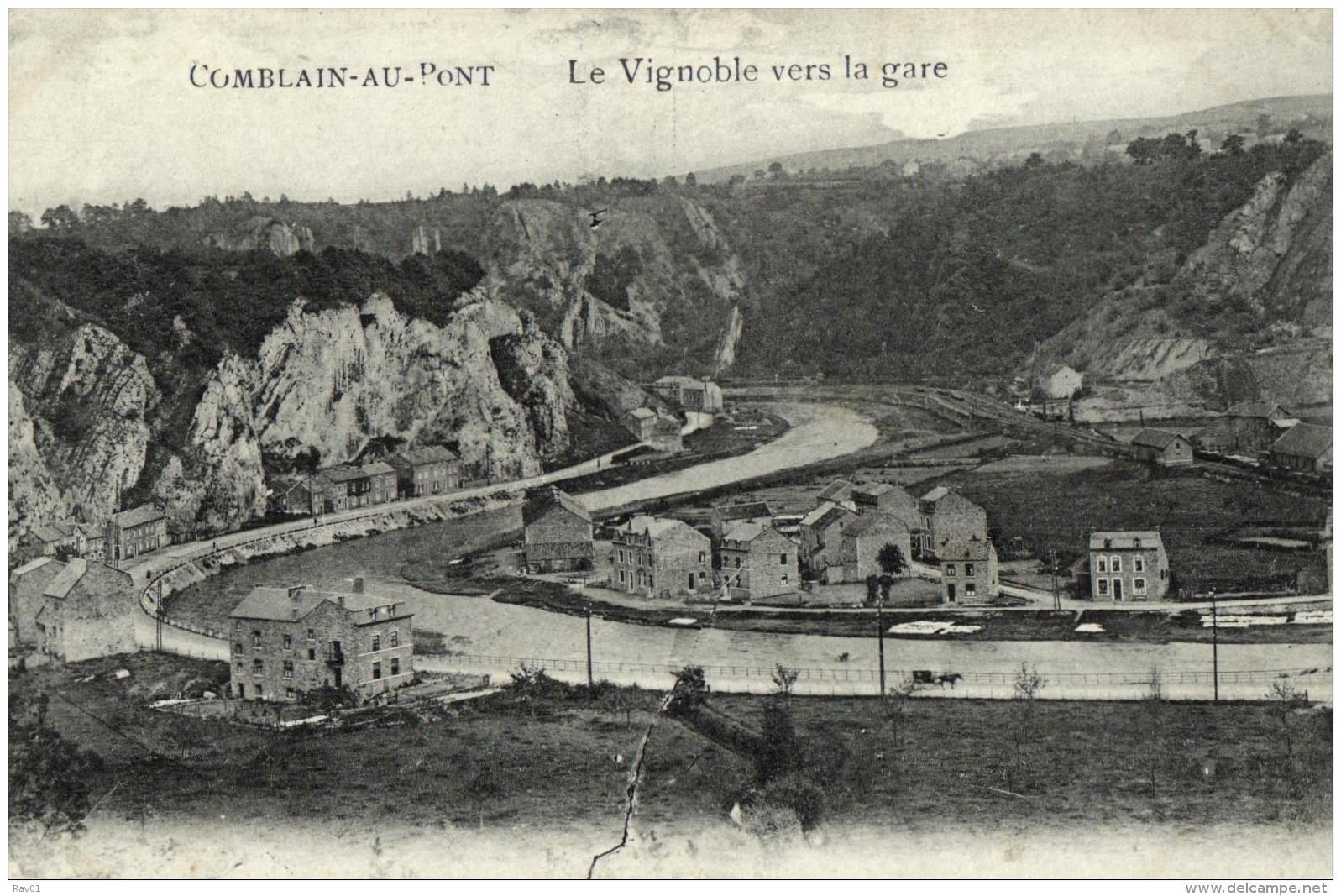 BELGIQUE - LIEGE - COMBLAIN-AU-PONT - Le Vignoble Vers La Gare. - Comblain-au-Pont