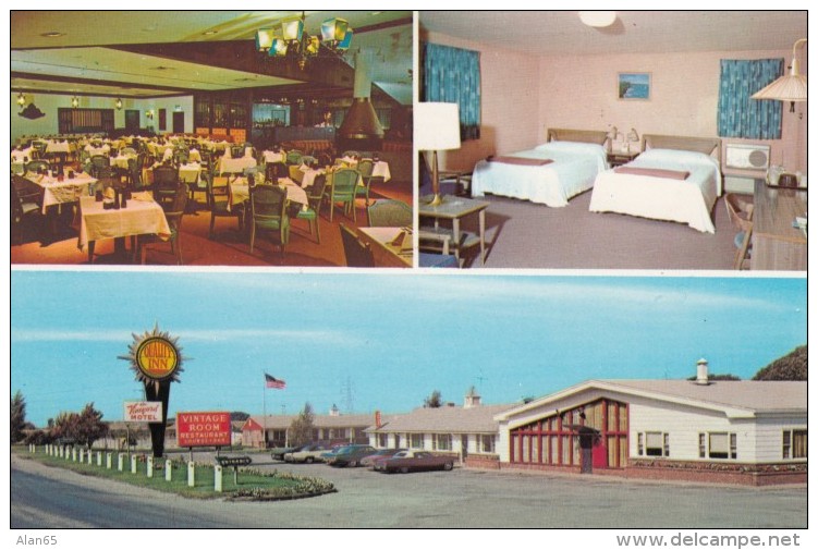 Quality Inn Vineyard Motel, Dunkirk New York, Bedroom Interior Views, C1970s Vintage Postcard - Hotels & Restaurants