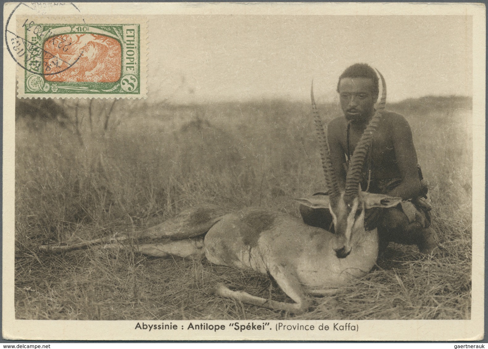 Äthiopien: 1931, Lot Of (unused) 15 Ppc With Franking On Picture Side, Showing Typical Views Like Na - Ethiopie