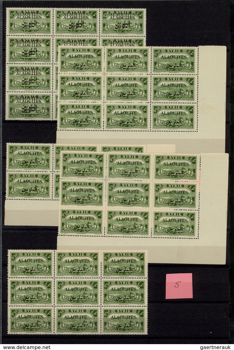 **/*/O Alawiten-Gebiet: 1935-31, Stock In Large Album With Sheets, Blocks Of Four And Many Varieties, Inver - Lettres & Documents