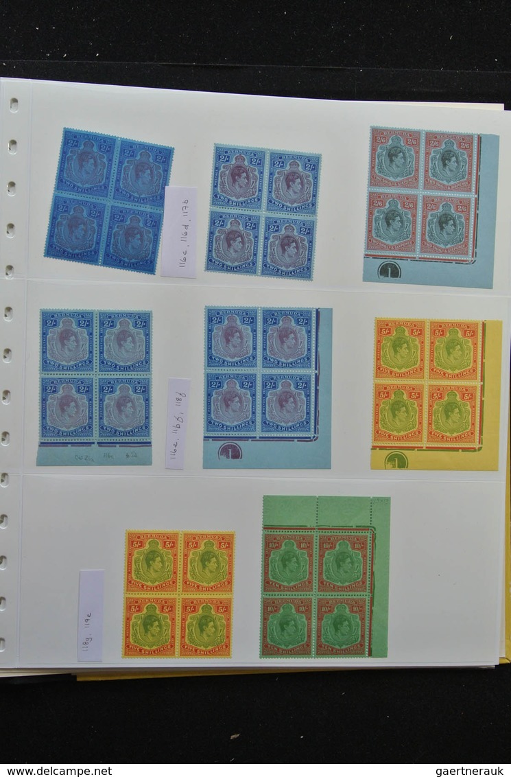 Bermuda-Inseln: 1865/1965 (ca.): Fantastic overcomplete mainly mint/mint never hinged collection in