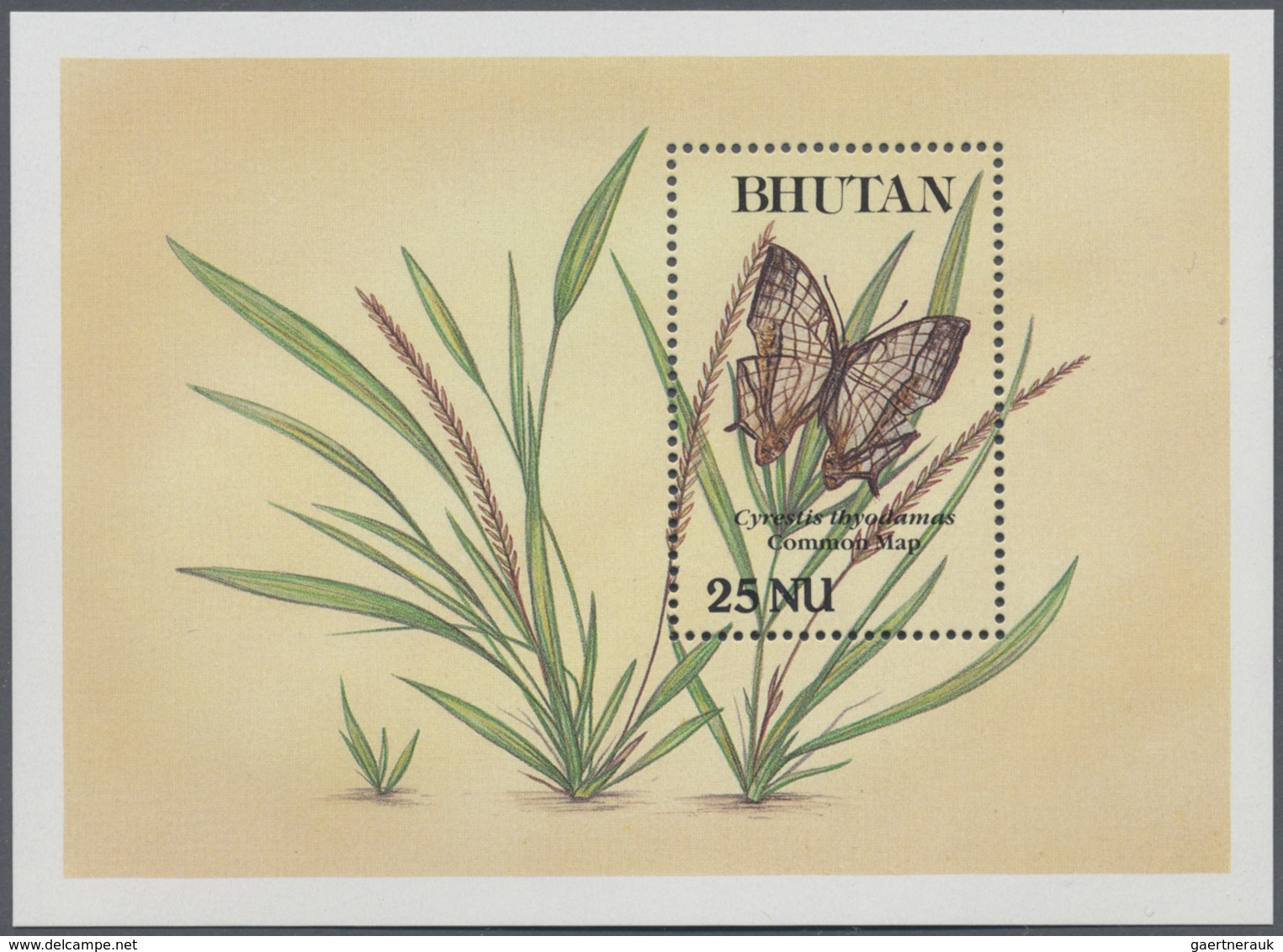 **/O Bhutan: 1964/1993 (ca.), Accumulation In Glassines Etc. In Box With Stamps And Miniature Sheets Incl - Bhoutan