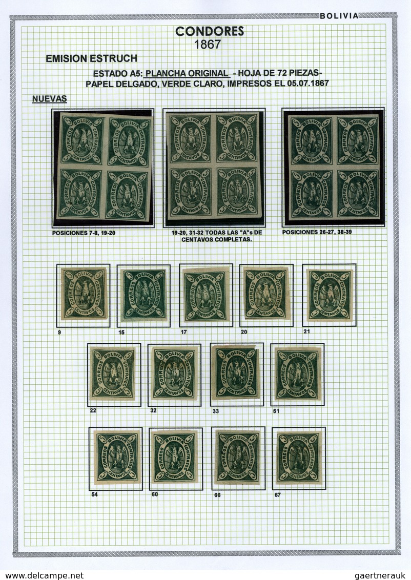 **/*/O/Br Bolivien: 1867: THE CONDOR ISSUE: A scarce and unique special collection of a most exciting classica