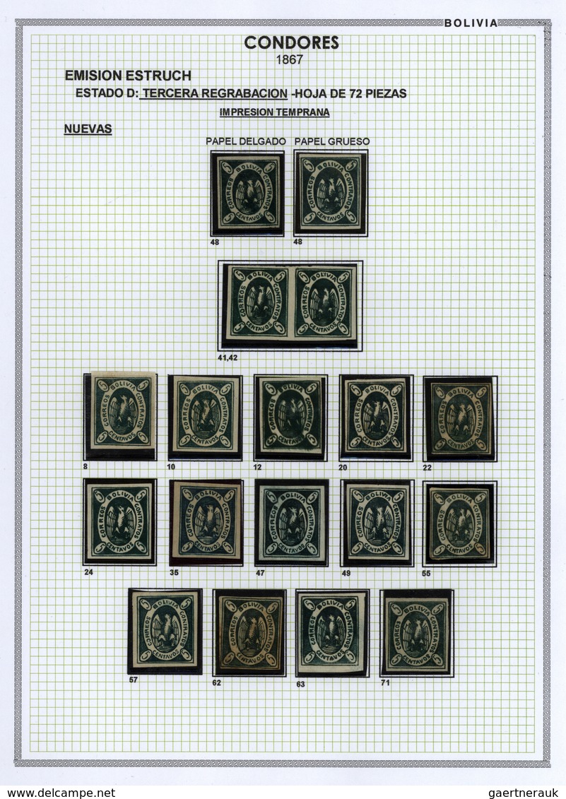 **/*/O/Br Bolivien: 1867: THE CONDOR ISSUE: A scarce and unique special collection of a most exciting classica