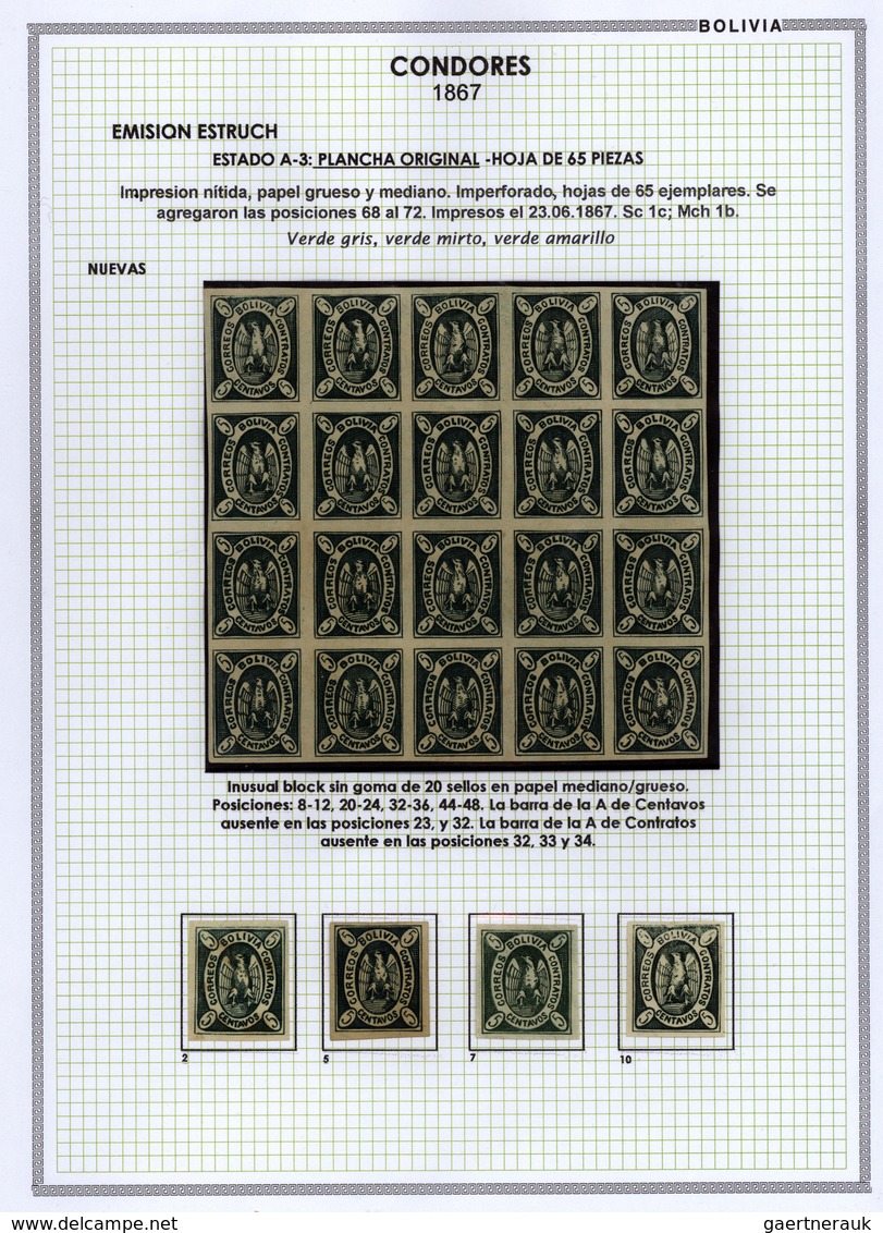 **/*/O/Br Bolivien: 1867: THE CONDOR ISSUE: A scarce and unique special collection of a most exciting classica