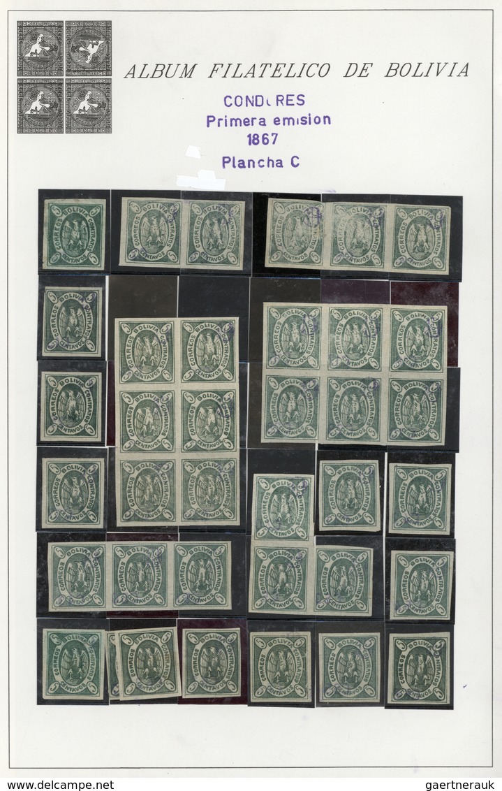 O/*/(*) Bolivien: 1867/1868, CONDOR ISSUES, Specialised Collection Of Apprx. 1.460 Stamps Arranged On Album - Bolivie