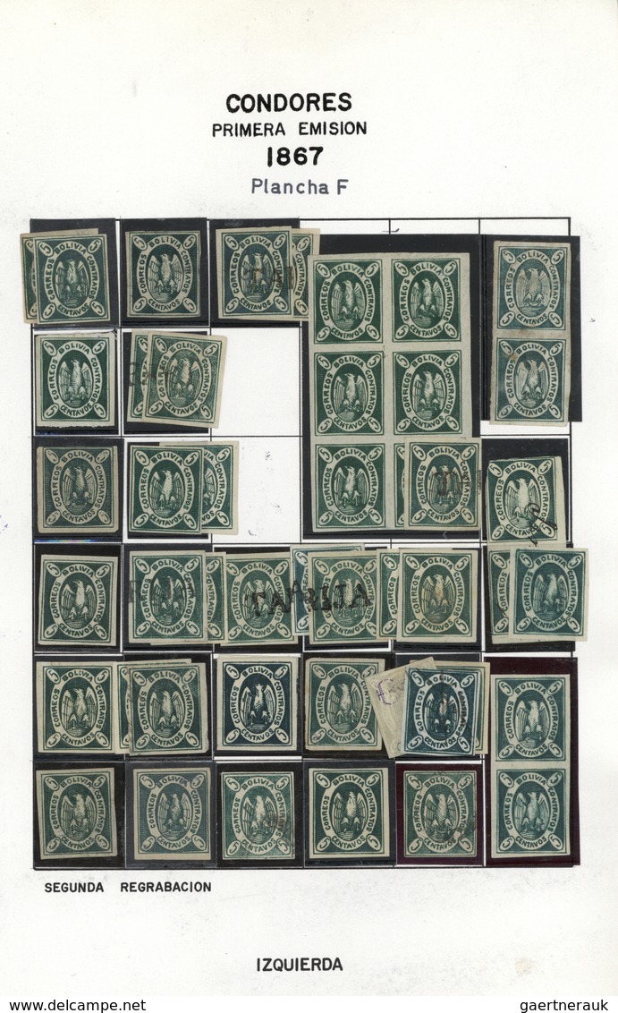 O/*/(*) Bolivien: 1867/1868, CONDOR ISSUES, Specialised Collection Of Apprx. 1.460 Stamps Arranged On Album - Bolivie