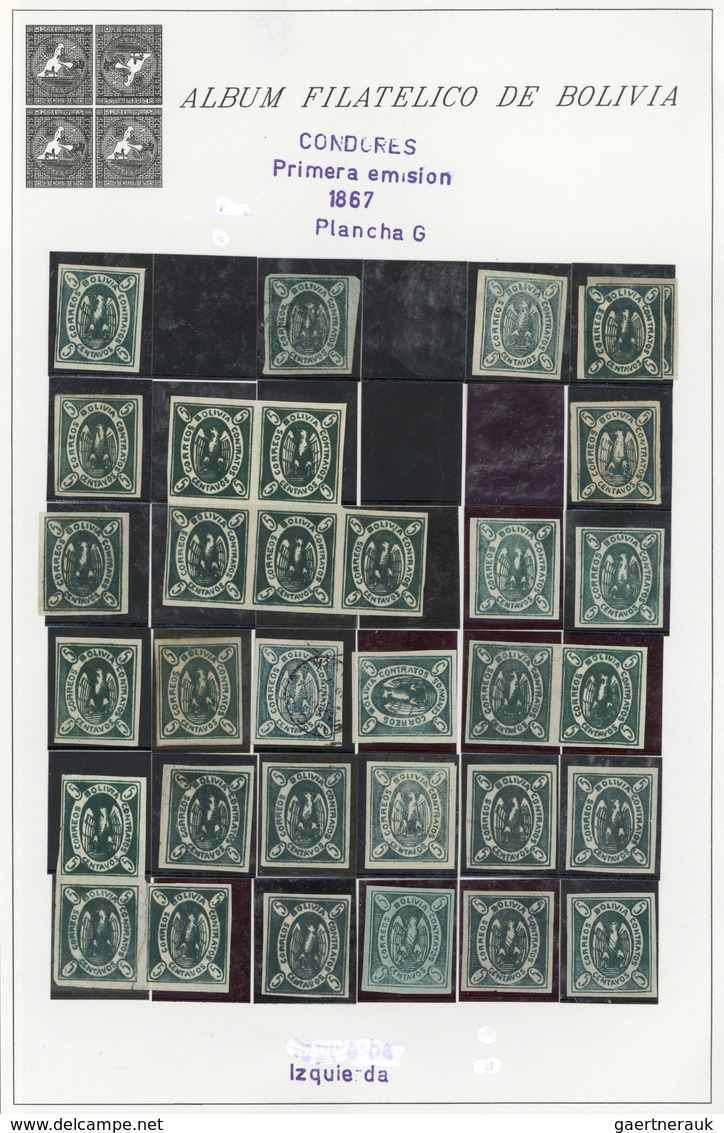 O/*/(*) Bolivien: 1867/1868, CONDOR ISSUES, Specialised Collection Of Apprx. 1.460 Stamps Arranged On Album - Bolivie