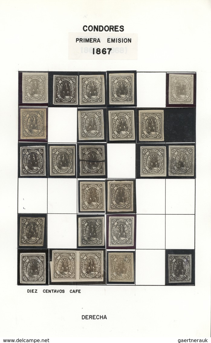 O/*/(*) Bolivien: 1867/1868, CONDOR ISSUES, specialised collection of apprx. 1.460 stamps arranged on album