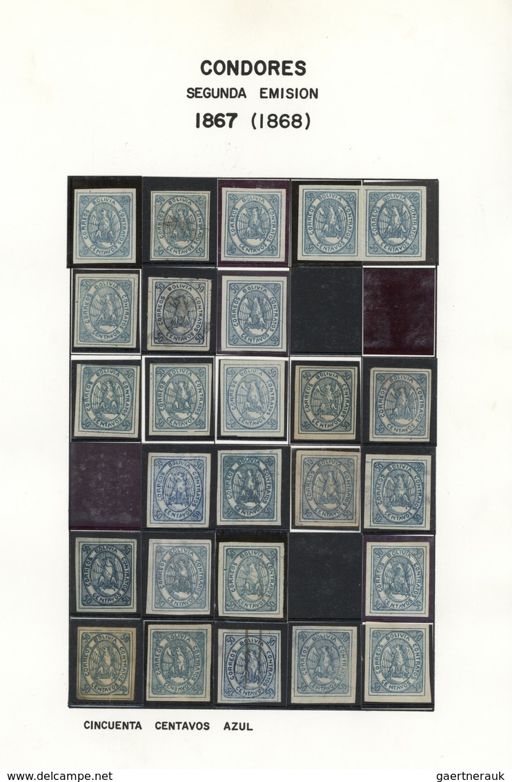 O/*/(*) Bolivien: 1867/1868, CONDOR ISSUES, specialised collection of apprx. 1.460 stamps arranged on album