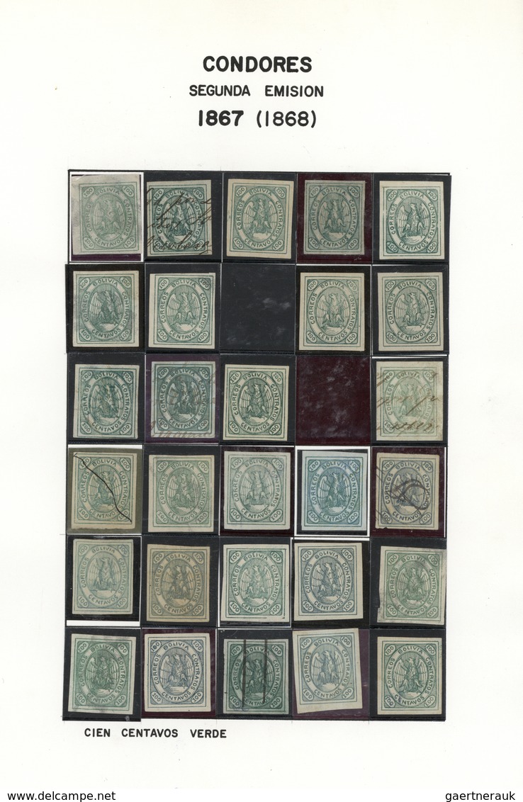 O/*/(*) Bolivien: 1867/1868, CONDOR ISSUES, specialised collection of apprx. 1.460 stamps arranged on album