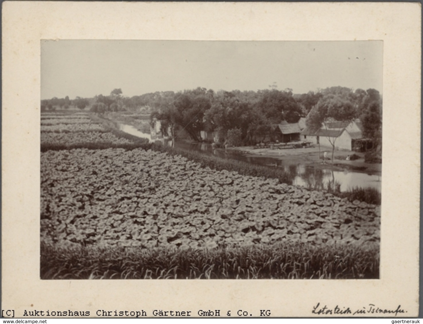 China - Besonderheiten: 1910: Jinan / Tsi Nan Fu: 4 Fotos Ex Sammlung Dönitz. A) Tsinanfu Tempel 29x - Autres & Non Classés