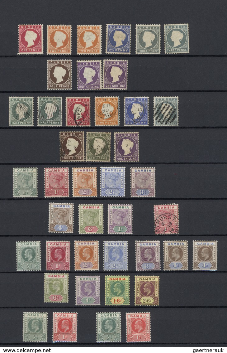 **/*/O Gambia: 1886/1980 (ca.), Mainly Mint Collection On Stocksheets, From QV With Main Value In The Pre-1 - Gambie (1965-...)