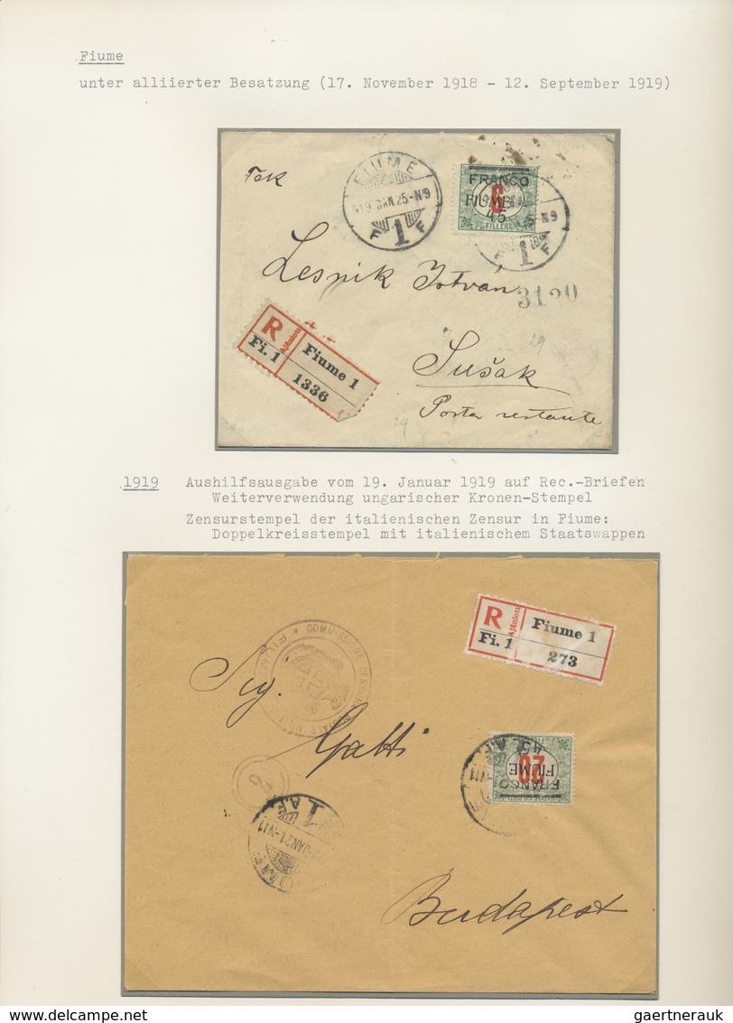 O/*/Br Fiume: 1918/1924, Collection On Album Sheets Used And Unused With More Than 200 Stamps (some Complet - Fiume
