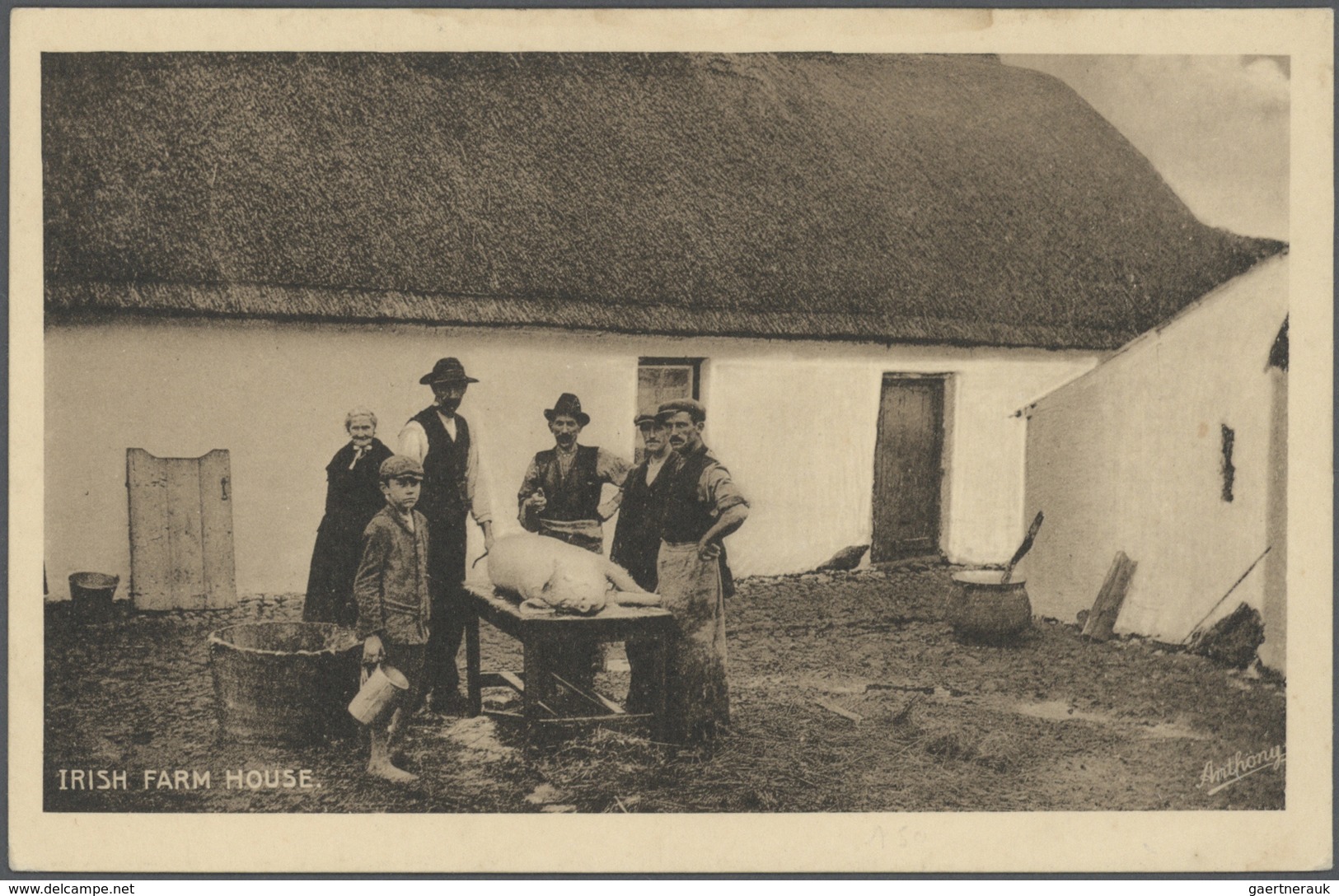 Irland - Besonderheiten: 1900/1960, reichhaltiger Bestand mit über 600 alten Ansichtskarten aus Belf