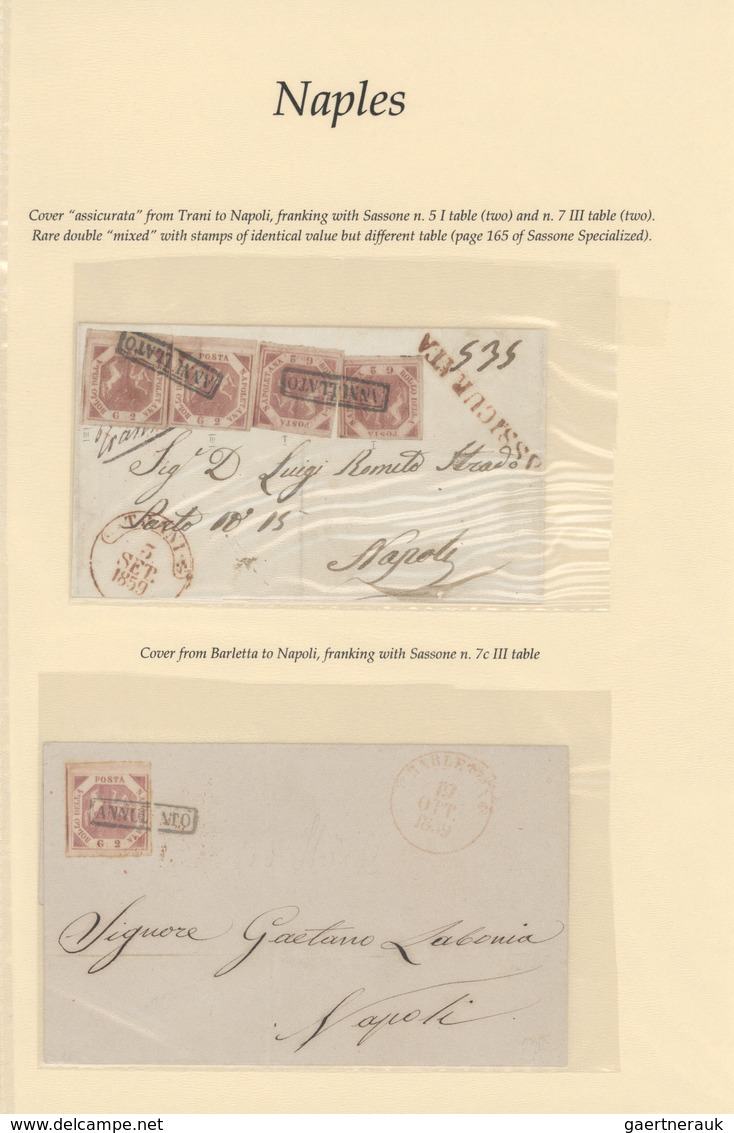 O/Br/* Italien - Altitalienische Staaten: Neapel: 1858: Specialised collection "Regno di Napoli". More then