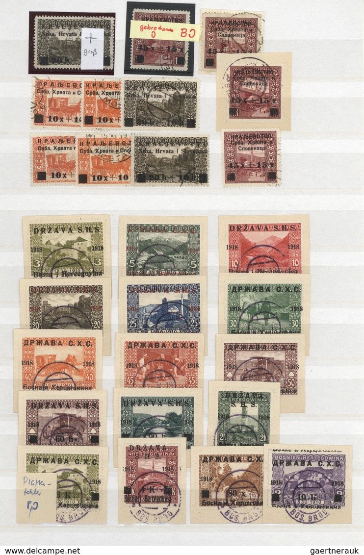 O/**/Brfst/* Jugoslawien: 1918/1919, Specialised Accumulation Of Apprx. 1.050 Stamps, Almost Exclusively Issues F - Lettres & Documents