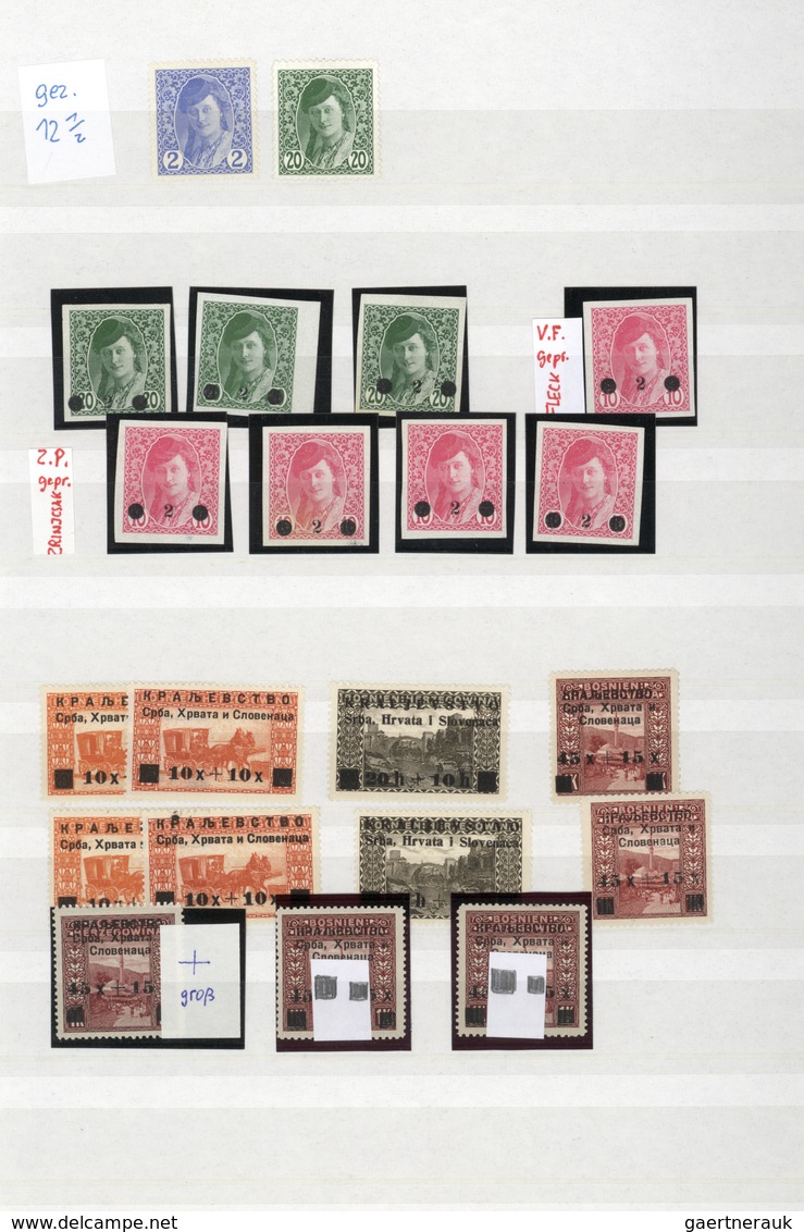 O/**/Brfst/* Jugoslawien: 1918/1919, specialised accumulation of apprx. 1.050 stamps, almost exclusively issues f