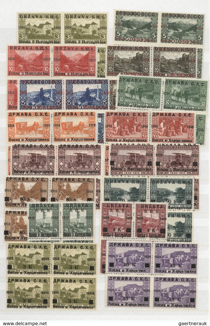 O/**/Brfst/* Jugoslawien: 1918/1919, specialised accumulation of apprx. 1.050 stamps, almost exclusively issues f