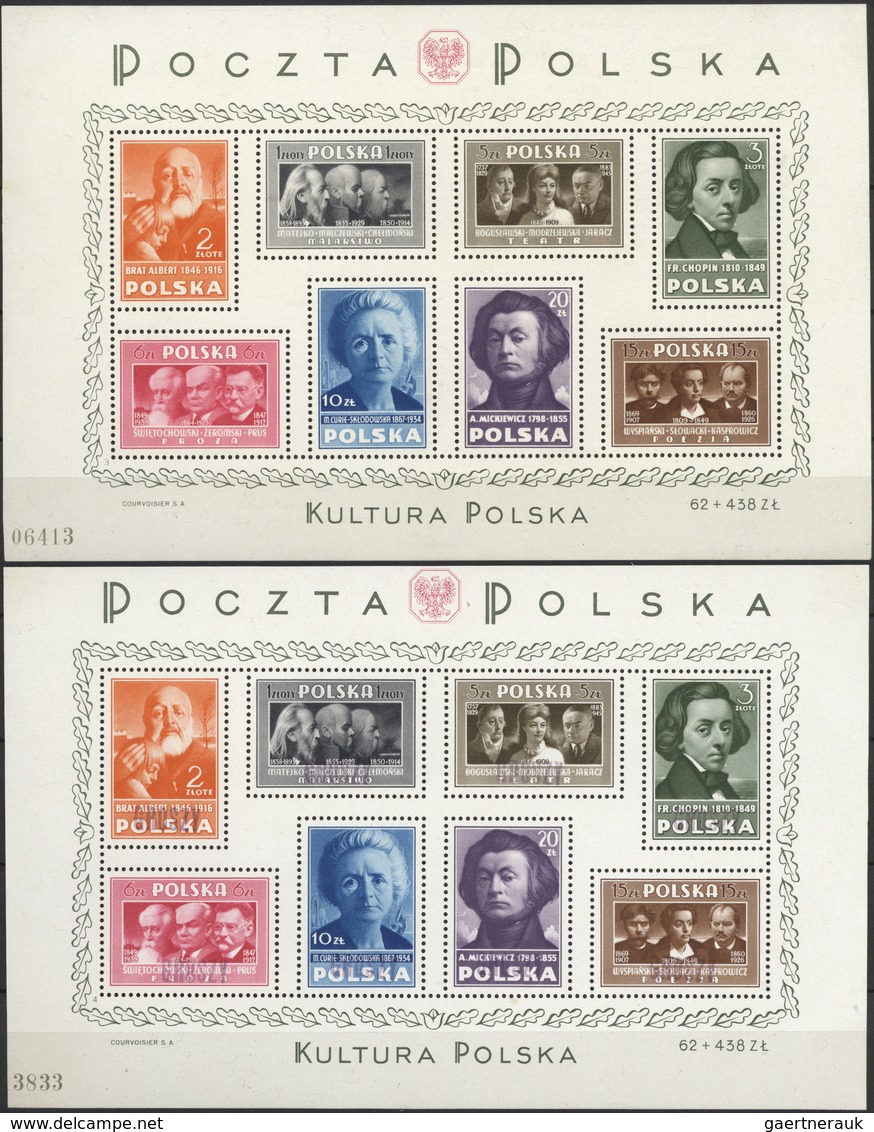 O/*/**/(*) Polen: 1918/1960 (ca.), Miscellaneous Lot In A Stockbook Comprising E.g. Essais, Better Souvenir She - Lettres & Documents