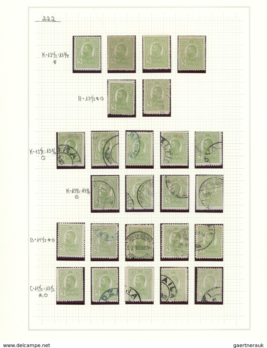 O/*/(*) Rumänien: 1858/1928, Deeply Specialised Mint And Used Collection In A Binder, Neatly Arranged On Nea - Lettres & Documents