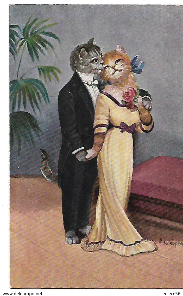 SCHROPLER CHATS HUMANISES HABILLES Un Couple, Elle Tient Une Rose Contre Sa Poitrine 1912 CPA 2 SCANS - Autres & Non Classés