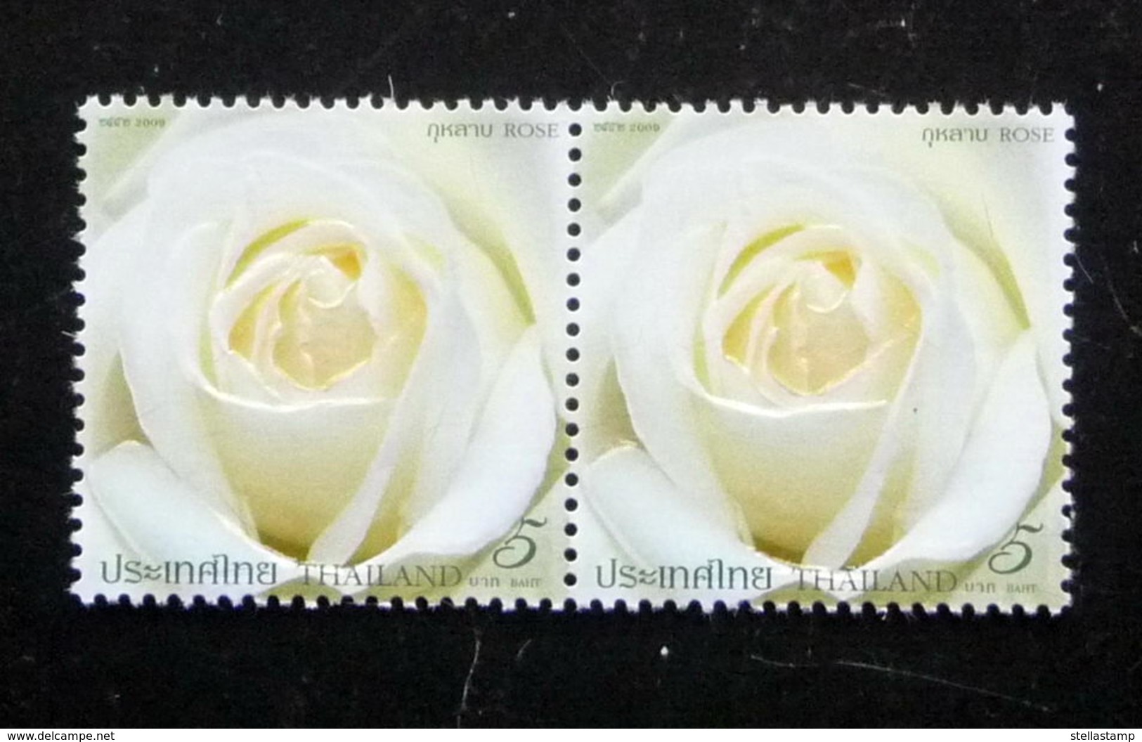 Thailand Stamp 2009 Rose 8th - Thaïlande