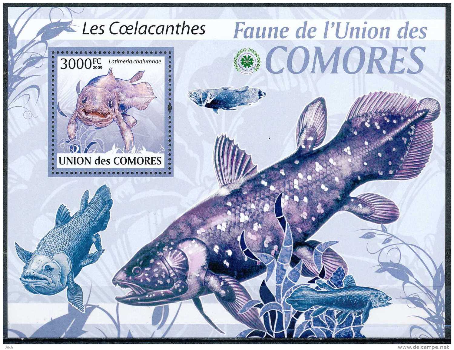 D- BL - Union Des Comores - Les Coelacanthes - Latimeria Chalumnae - Poisson - Poissons