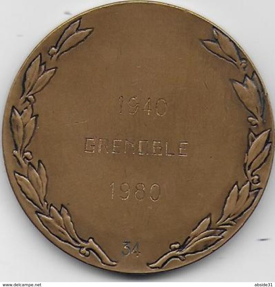 Médaille Des Anciens De JEUNESSE ET MONTAGNE  1940 - 1980  GRENOBLE - Matriculée 34 - France