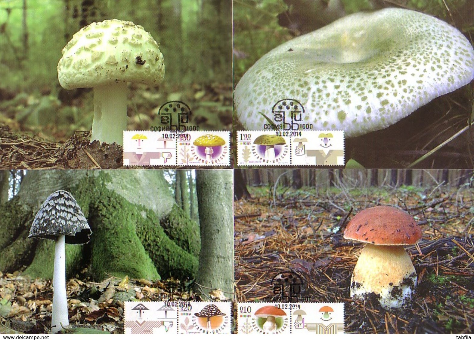 BULGARIA / BULGARIE - 2014 - Champignons -  4 Maximum Carts / Tim.de PF Avec VIGNET / Rare - Other & Unclassified