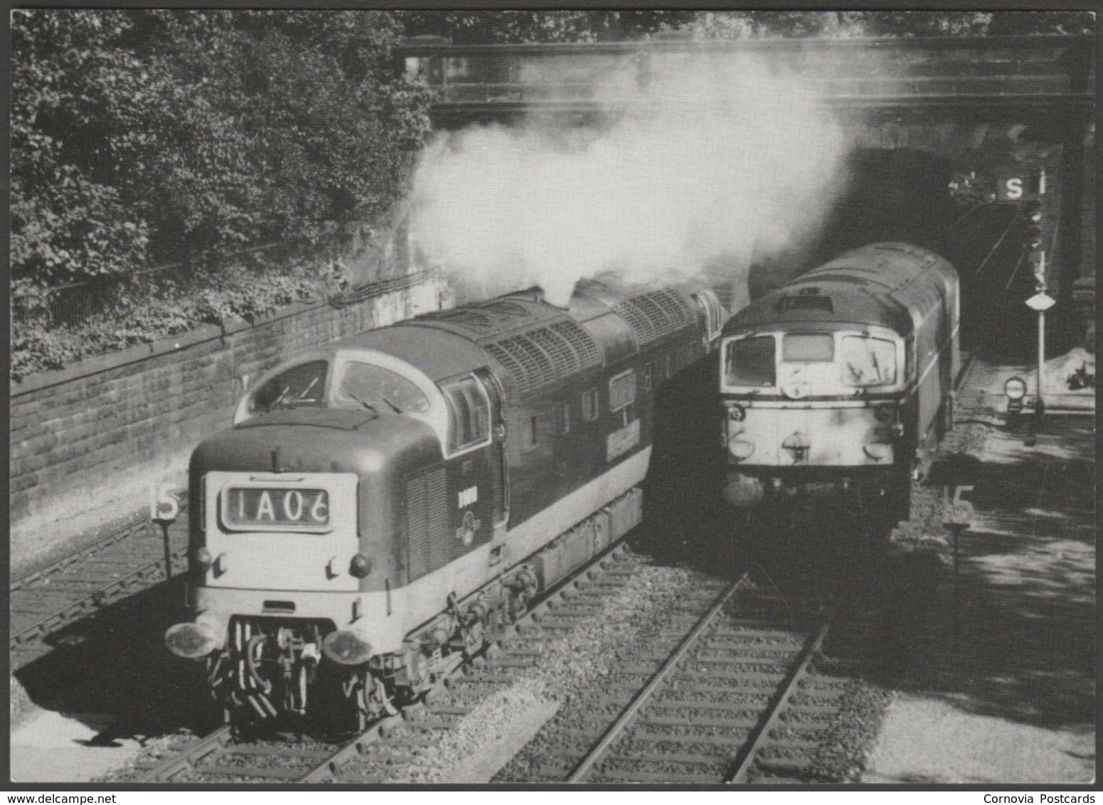 British Rail Diesel-Electric No D9010 The King's Own Scottish Borderer - Steamprint Postcard - Trains