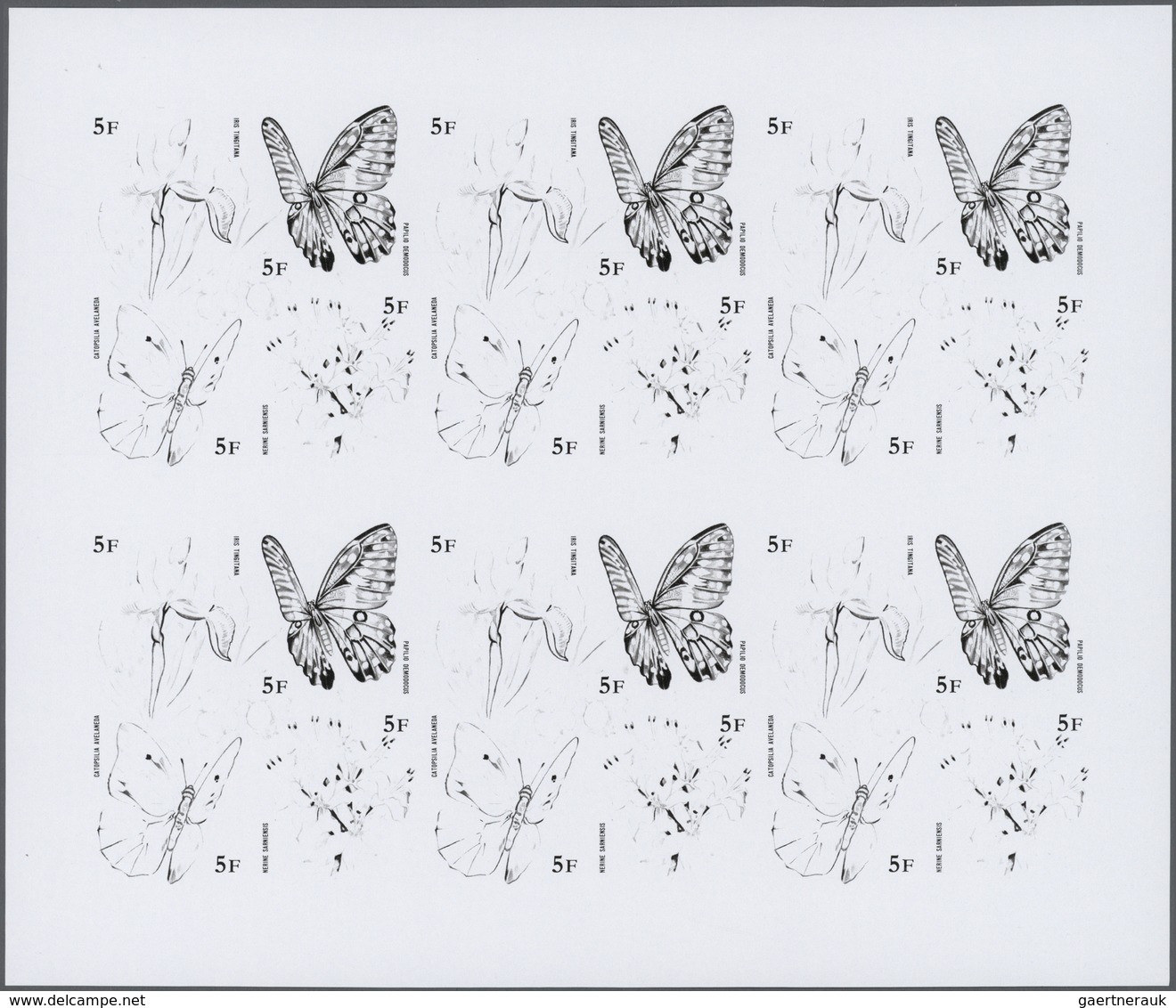 ** Thematik: Flora, Botanik / Flora, Botany, Bloom: 1973, Burundi. Progressive Proof (6 Phases) For The - Autres & Non Classés