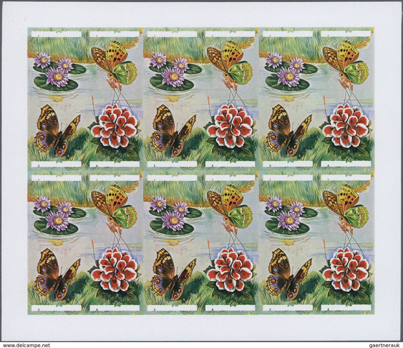 ** Thematik: Flora, Botanik / Flora, Botany, Bloom: 1973, Burundi. Progressive Proof (6 Phases) For The - Altri & Non Classificati