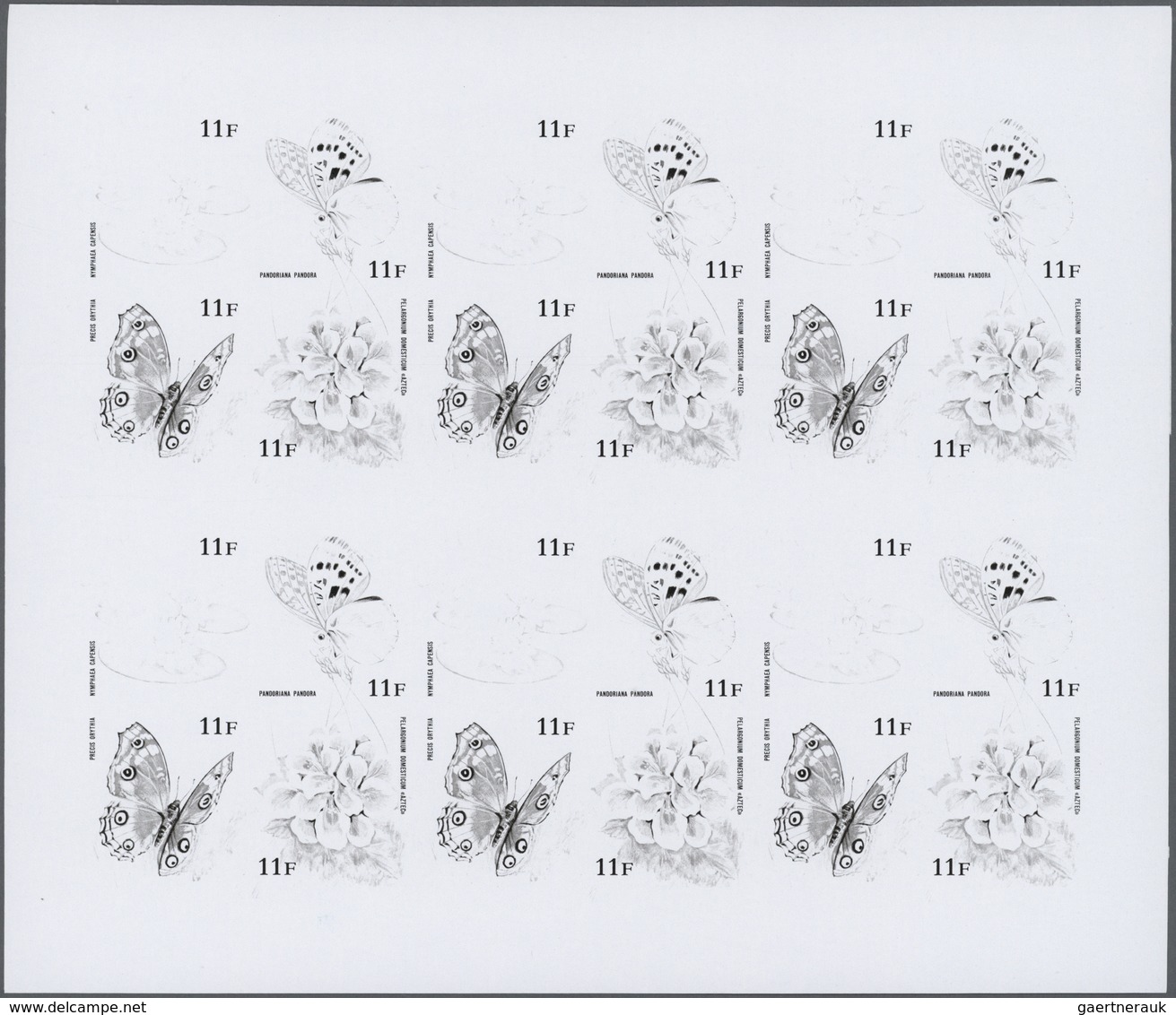 ** Thematik: Flora, Botanik / Flora, Botany, Bloom: 1973, Burundi. Progressive Proof (6 Phases) For The - Andere & Zonder Classificatie