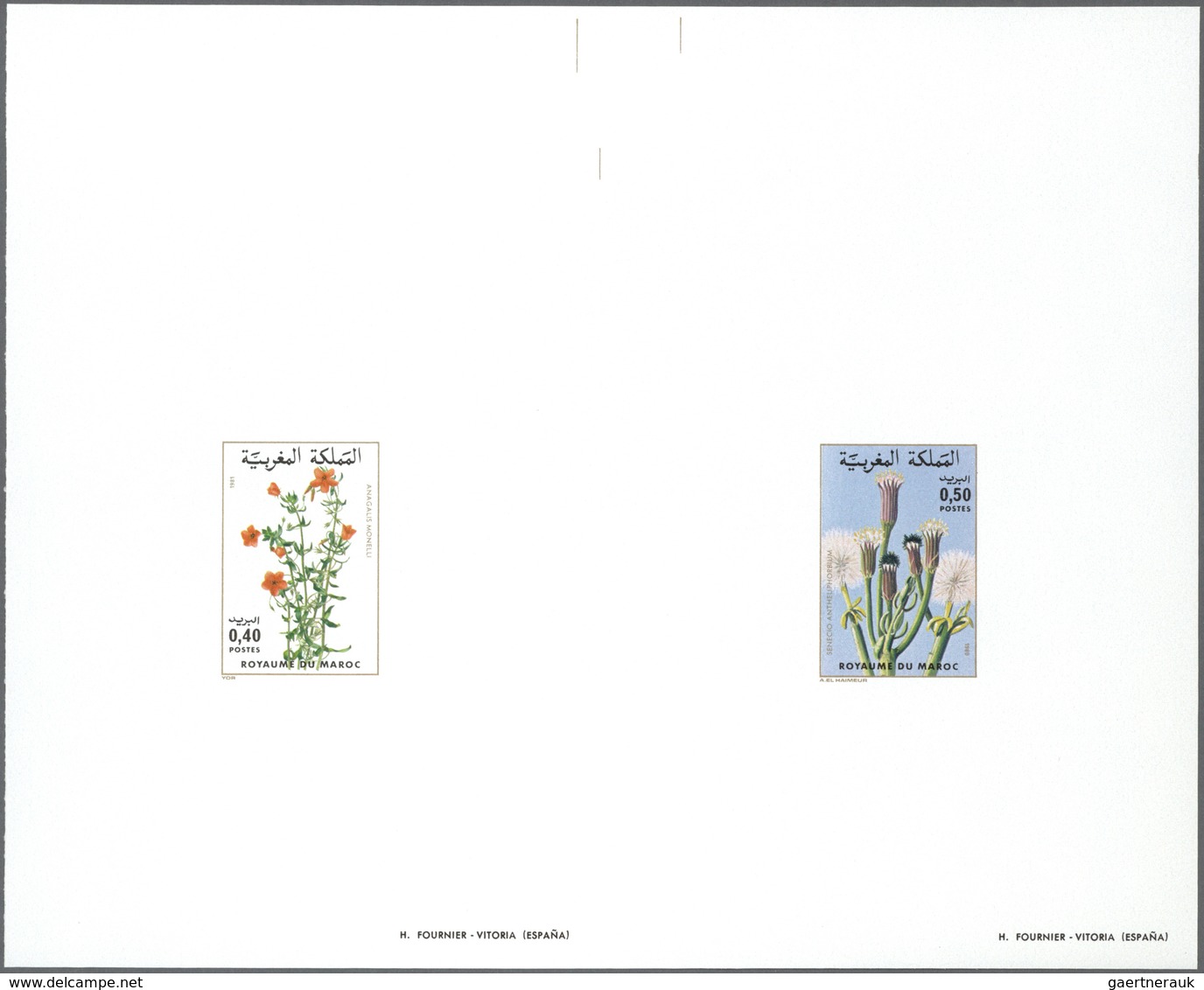 ** Thematik: Flora, Botanik / Flora, Botany, Bloom: 1980/1981, MAROKKO: Flowers 0.40dh. 'Anagalis Monel - Autres & Non Classés
